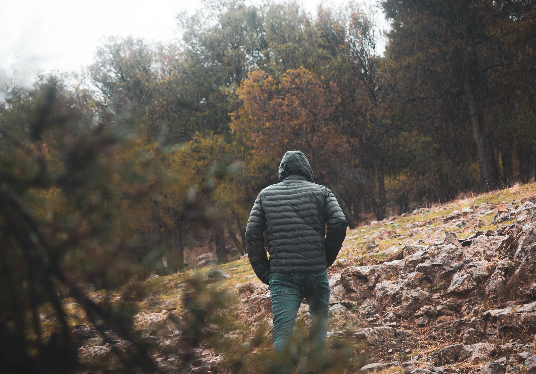 Une randonneuse en veste à capuche, sur un sentier forestier