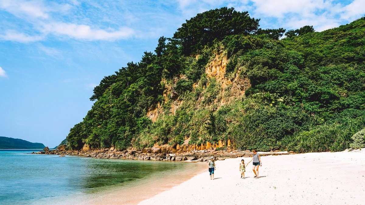 Guide des parcs nationaux du Japon pour les débutants